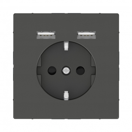 Розетка компьютерная USBx2 Schneider Electric Merten D-Life MTN2366-6034
