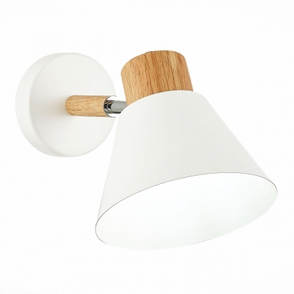 Спот Evoluce Buve SLE103701-01 мощность 60 Вт