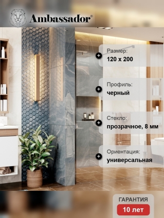 Душевая перегородка Ambassador Walk-in 15031112 120х200 см, профиль черный, стекло прозрачное, с покрытием анти-капля