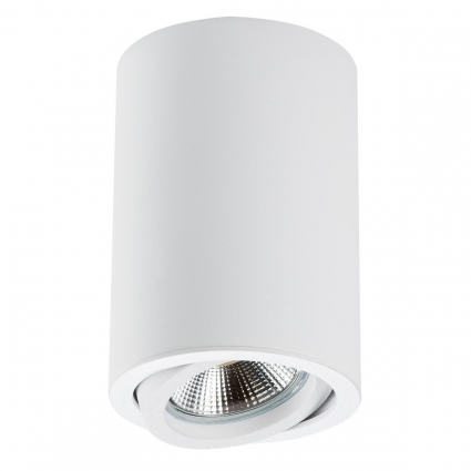 Потолочный светильник Lightstar Rullo 214406 в стиле Хай-тек, цвет белый