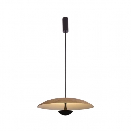 Подвесной светильник Lumien Hall Arta 8007/1PL-WD в современном стиле, цвет черный