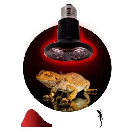 Инфракрасный нагреватель ЭРА Fito-100W-НQ Б0052715 цвет черный
