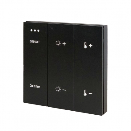 Панель управления ДУ ST Luce Skyline ST015.400.99 цвет черный