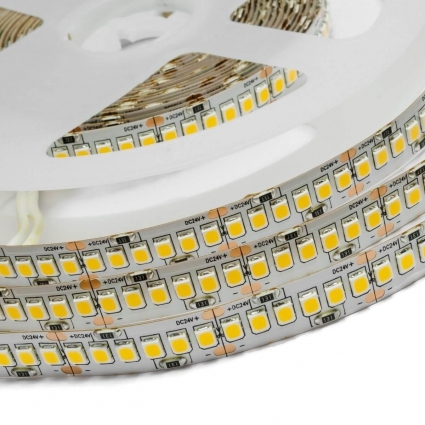 Светодиодная лента Apeyron 26W/m 240Led/m 2835SMD теплый белый 1M 239BL цвет белый