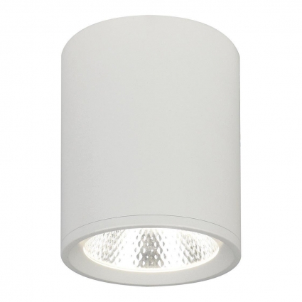 Потолочный светодиодный светильник Escada 20003SMU/02LED SWH в современном стиле, цвет белый