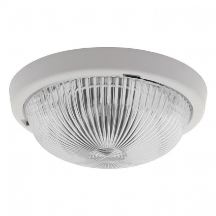 Настенный потолочный светильник Kanlux SANGA DL-100 8050 в современном стиле