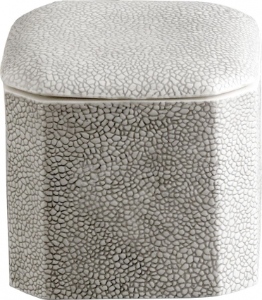 Контейнер Kassatex Shagreen ASG-CJ серый, настольный
