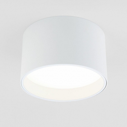 Потолочный светодиодный светильник Elektrostandard 25123/Led Banti 13Вт 4200K 4690389183980 в современном стиле, цвет белый