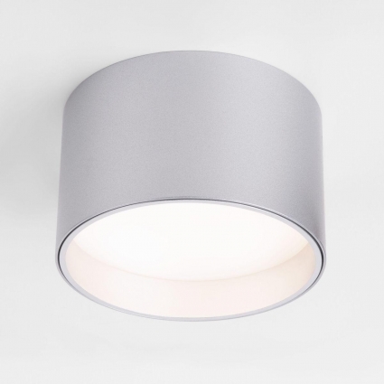 Потолочный светодиодный светильник Elektrostandard 25123/Led Banti 13Вт 4200K 4690389183997 в современном стиле, цвет серебро