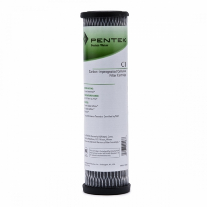 Сменный модуль Pentek C1