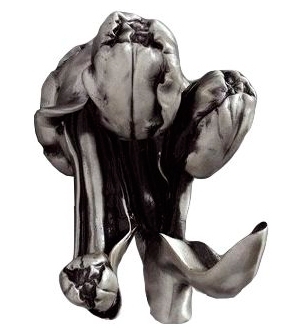 Крючок Art&Max Tulip AM-0822-T серебро,  в стиле ретро