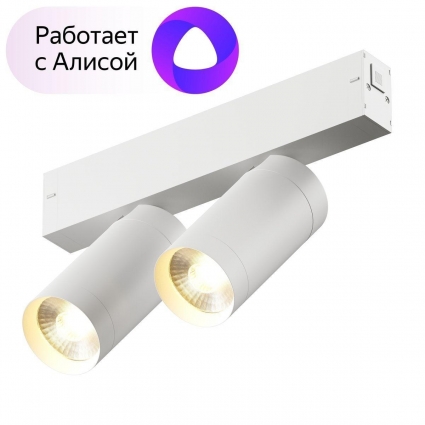 Трековый светодиодный светильник Denkirs Smart Spot DK8012-WH в современном стиле, цвет белый