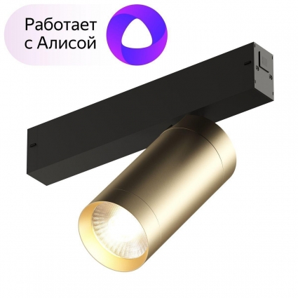 Трековый светодиодный светильник Denkirs Smart Spot DK8020-BG в современном стиле, цвет матовое золото