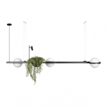 Подвесной светильник LOFT IT Jardin 10121/C в стиле модерн, цвет черный