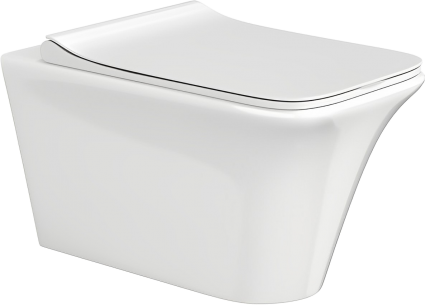 Cerutti Spa Унитаз подвесной CeruttiSpa Nivolet Aria 9034 безободковый, с микролифтом, 36x49.5 см