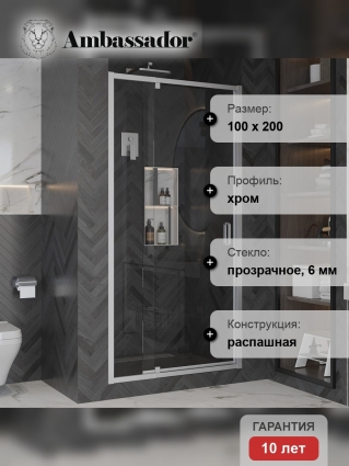 Душевая дверь в нишу Ambassador Elysium 111021104KX 100 см распашная, стекло прозрачное