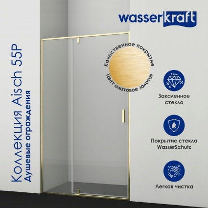 Душевая дверь в нишу Wasserkraft Aisch 55P 55P12 распашная, стекло прозрачное