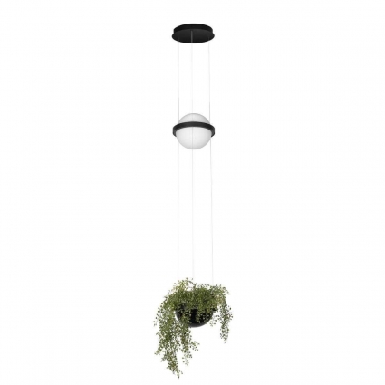Подвесной светильник LOFT IT Jardin 10121/B в стиле модерн, цвет черный