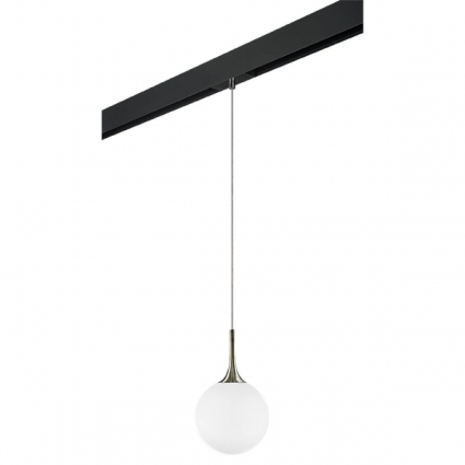 Трековый светильник Lightstar Globo (813021+595007) PRO813021 в стиле арт-деко, цвет бронза