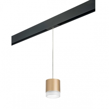 Трековый светильник Lightstar Rullo (213490+595887+202480) PRORP349080 в стиле Хай-тек, цвет золотой