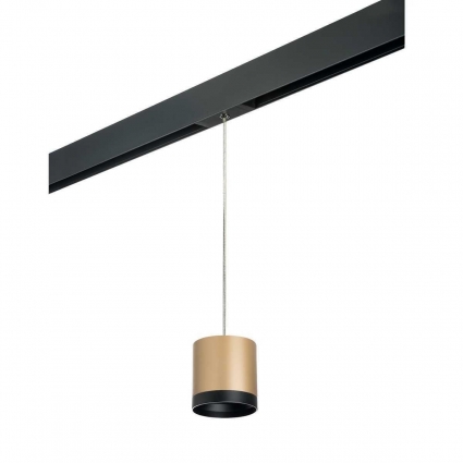 Трековый светильник Lightstar Rullo (213490+595887+203487) PRORP34903487 в стиле Хай-тек, цвет золотой