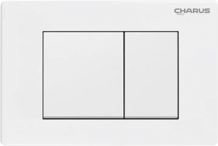 Кнопка смыва CHARUS Minimalista FP.310.11.01 белый агат механическая,  в современном стиле
