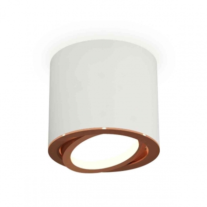 Комплект накладного светильника Ambrella light Techno Spot XS7401005 SWH/PPG белый песок/золото розовое полированное (C7401, N7005), в стиле Хай-тек, цвет белый