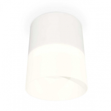 Комплект накладного светильника Ambrella light Techno Spot XS (C8110, N8402) XS8110002, в современном стиле, цвет белый