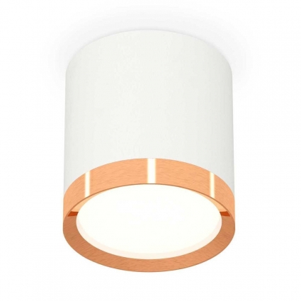 Комплект накладного светильника Ambrella light Techno Spot XS (C8141, N8126) XS8141005, в современном стиле, цвет белый