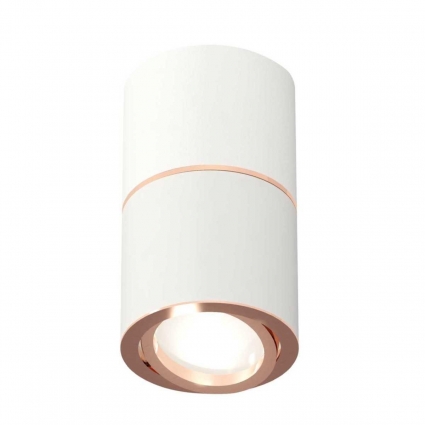 Комплект потолочного светильника Ambrella light Techno Spot XS (C7401, A2073, C7401, N7005) XS7401220, в современном стиле, цвет белый
