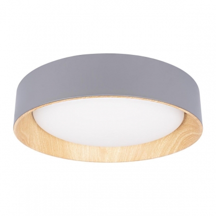 Потолочный светодиодный светильник Loft IT Coin 10202 Grey в современном стиле, цвет серый