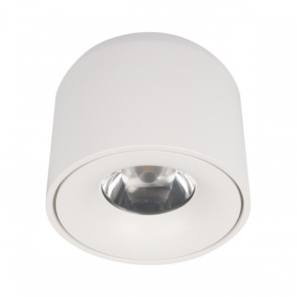 Потолочный светодиодный светильник Loft IT Tictac 10219 White 4000K в современном стиле, цвет белый