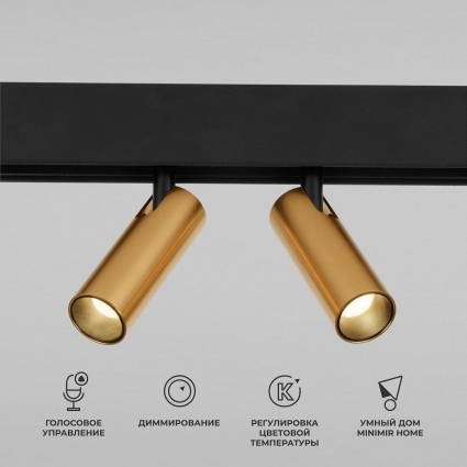 Трековый светодиодный светильник Elektrostandard Slim Magnetic Dim Dual 85056/01 латунь a063527 в стиле Хай-тек, цвет латунь