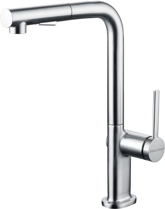 Смеситель для кухни Paulmark Neo Ne214419-CR хром однорычажный, длина излива 21.98 см