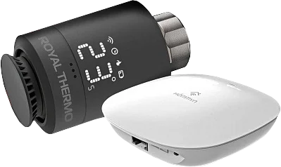 Термостат Royal Thermo Smart Heat RTSMARTHB M30х1,5 с управлением по wi-fi, черный