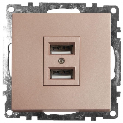 Розетка 2хUSB Stekker Катрин шампань GLS10-7115-02 39602 в современном стиле
