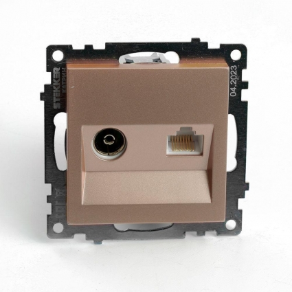 Розетка телевизионная TV + компьютерная RJ-45 Stekker Катрин шампань GLS00-7106-02 49184 в современном стиле