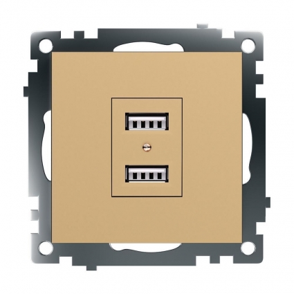 Розетка 2хUSB Stekker Катрин золото GLS10-7115-08 49229 в современном стиле, цвет золотой