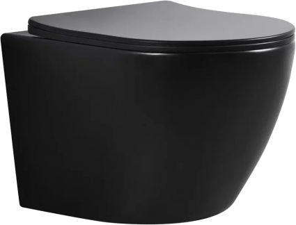 Унитаз подвесной BOND Oval F01-108 безободковый, с микролифтом, черный, 36x49 см