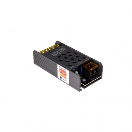 Контроллер Lightstar 2 цвета CW 240W 424902 цвет черный