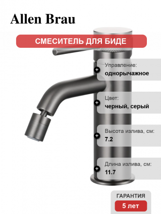 Смеситель для биде Allen Brau Priority 5.31A04-MG брашированный графит однорычажный, длина излива 11.7 см
