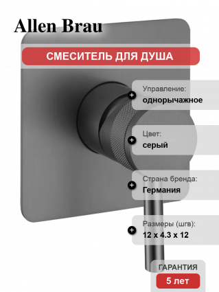 Смеситель для душа Allen Brau Priority 5.31012-MG С ВНУТРЕННЕЙ ЧАСТЬЮ, брашированный графит, однорычажный, серый