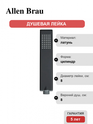 Душевая лейка Allen Brau Infinity 5.21022-31 черная цвет черный, штанга 19.4 см