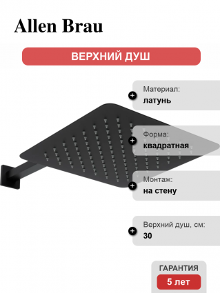 Верхний душ Allen Brau Infinity 5.21A19-31 черный штанга 8.4 см, размер 30 см