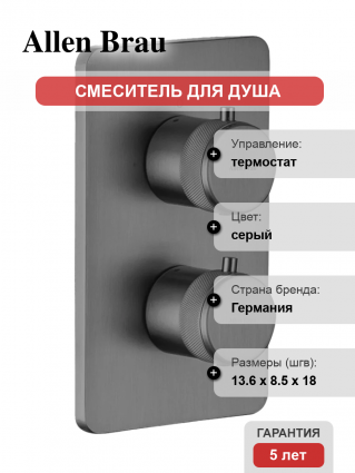 Термостатический смеситель Allen Brau Priority 5.31213-MG С ВНУТРЕННЕЙ ЧАСТЬЮ, брашированный графит, термостат, серый