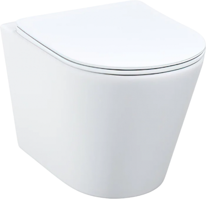 Унитаз подвесной Iddis Calipso CALRNSEi25 безободковый, с микролифтом, белый, 36.5x51.5 см
