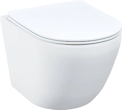 Унитаз подвесной Iddis Blanco BLARNSEi25 безободковый, с микролифтом, белый, 36.5x49.5 см