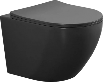 Унитаз подвесной Aquanet Cetus 279091 безободковый, с микролифтом, черный, 36x53 см