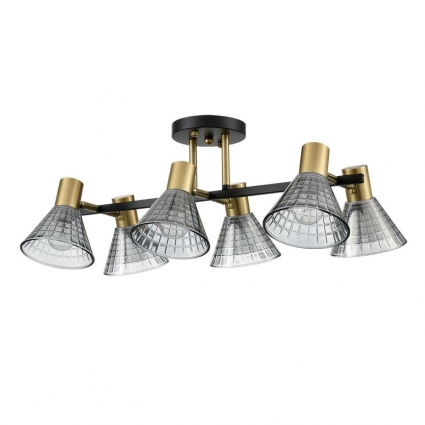 Потолочная люстра Lumion Moderni Anriya 8044/6C в стиле модерн, цвет дымчатый