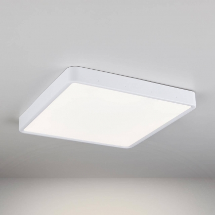 Потолочный светодиодный светильник Elektrostandard DLS034 24W 4200K a043018 в современном стиле, цвет белый